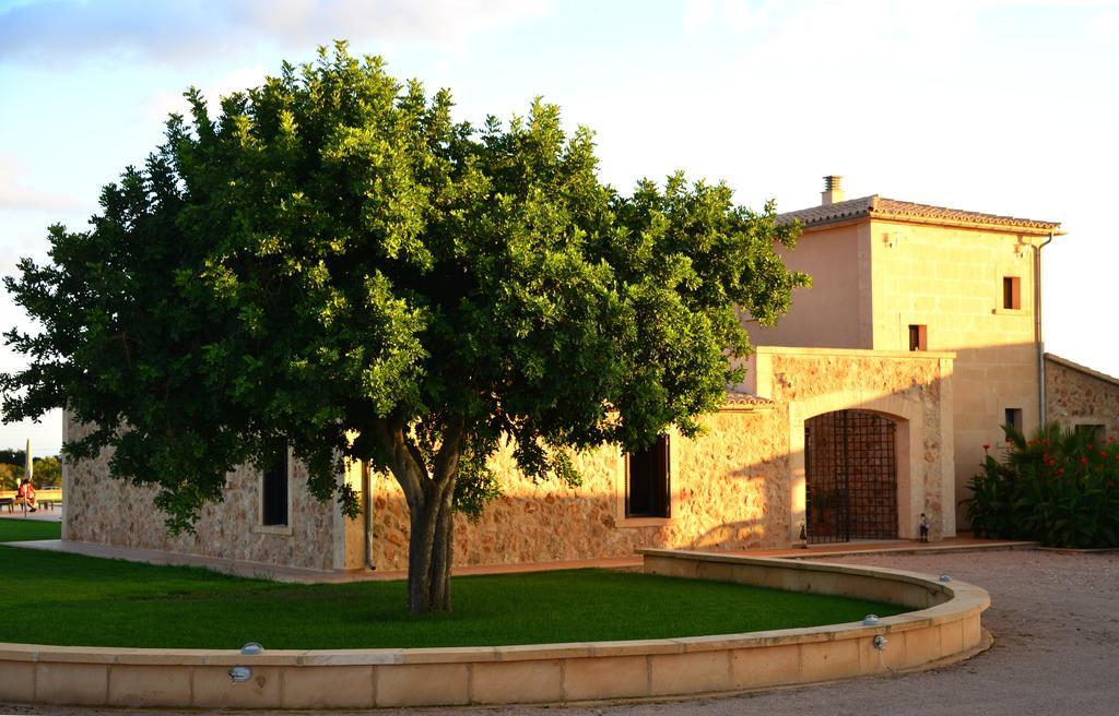 Finca Sol Y Vida - Agroturismo Son Sampoli Hotel Лукмахор Екстериор снимка